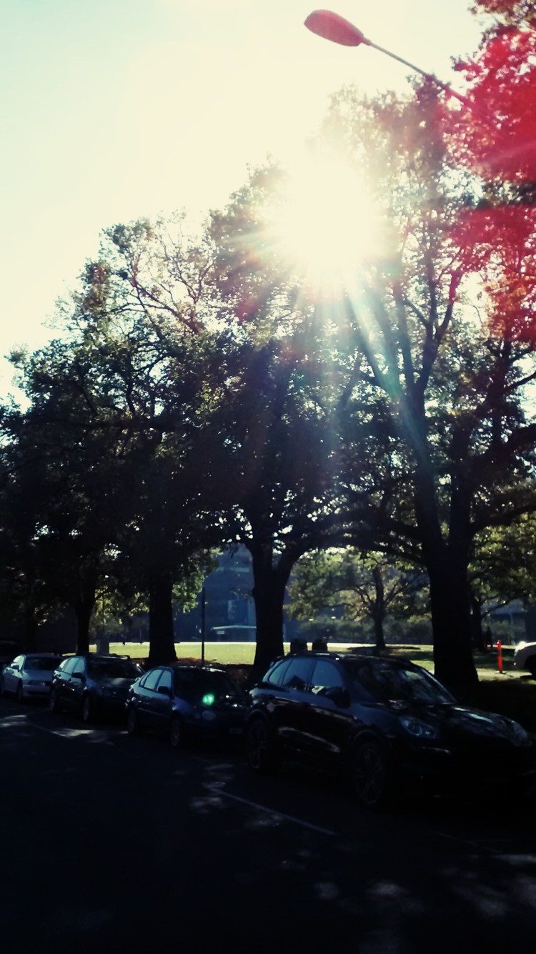 wp-1430351650230 image