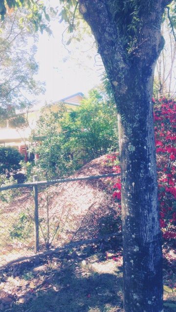 65056_10152260856108242_861641856_n